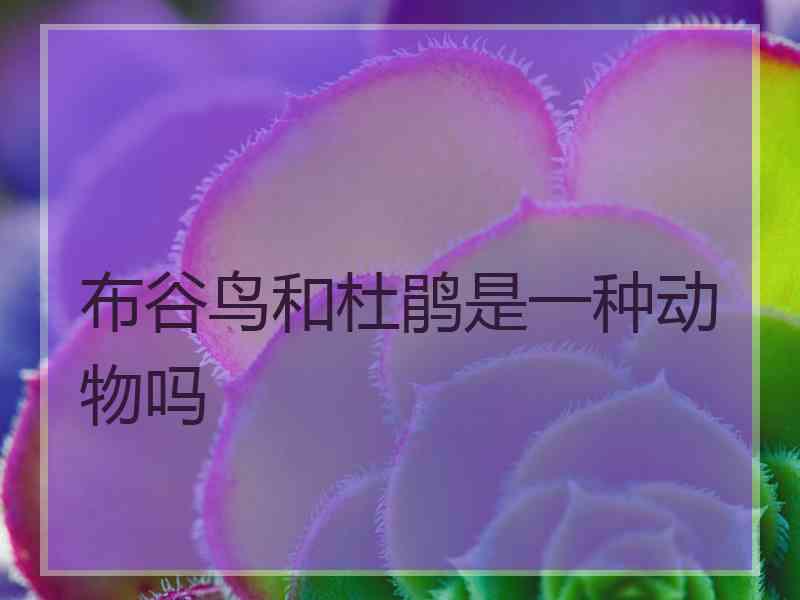 布谷鸟和杜鹃是一种动物吗