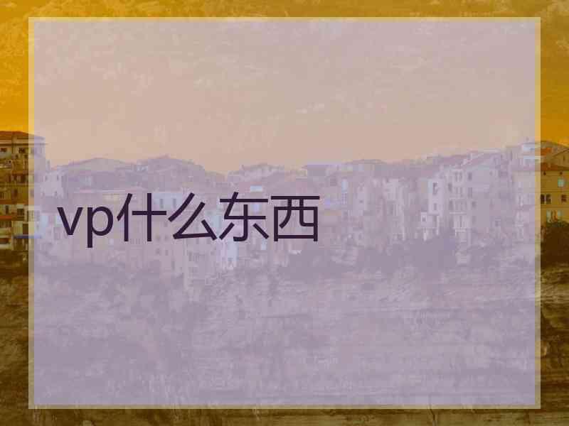 vp什么东西