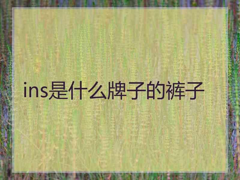 ins是什么牌子的裤子