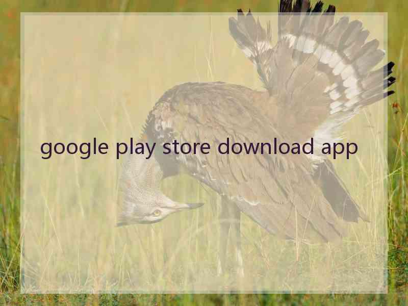 google play store download app