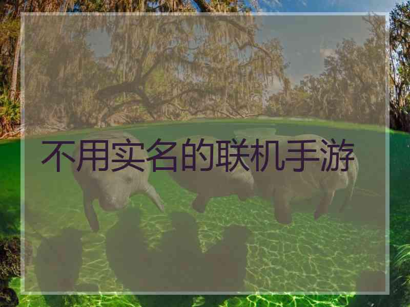 不用实名的联机手游