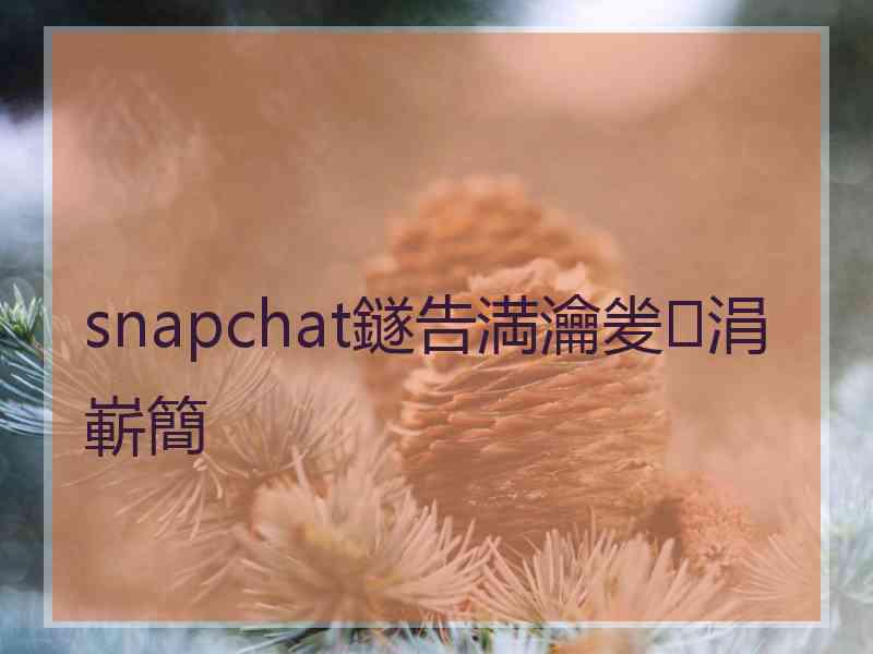 snapchat鐩告満瀹夎涓嶄簡