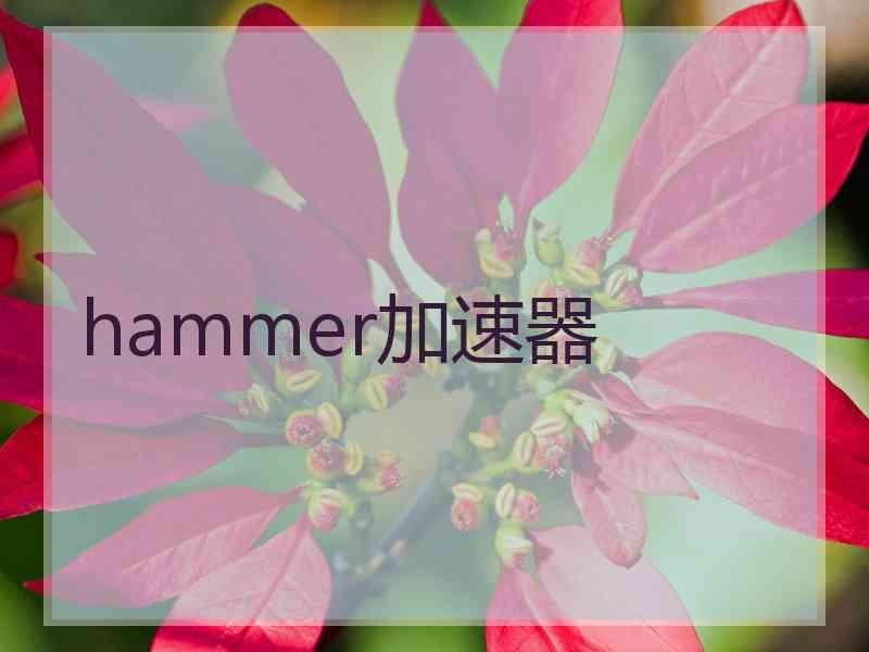 hammer加速器