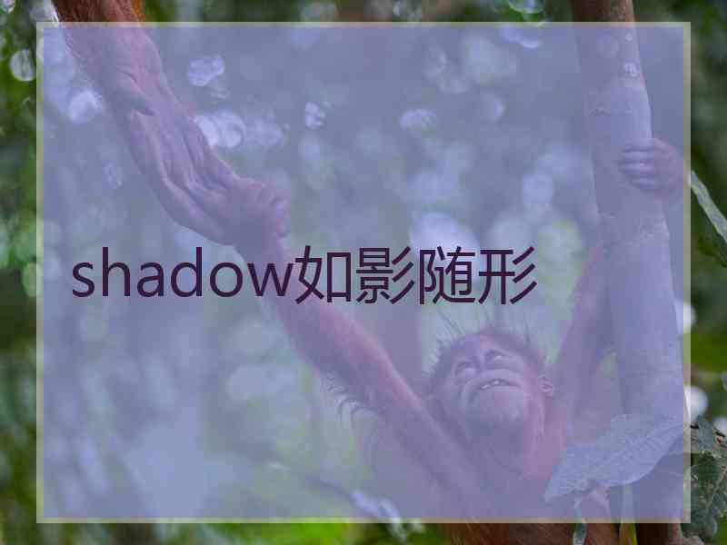 shadow如影随形