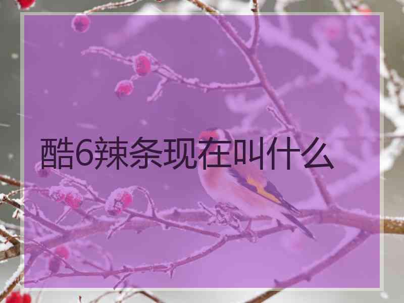 酷6辣条现在叫什么