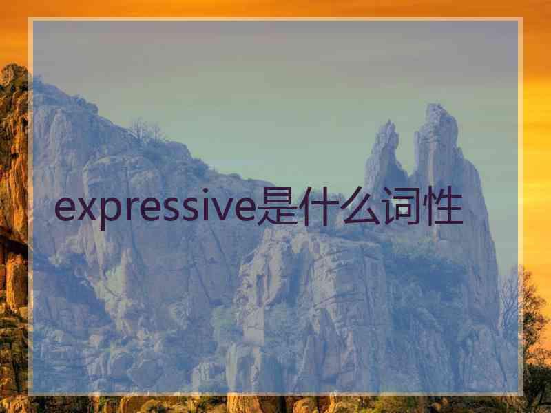 expressive是什么词性