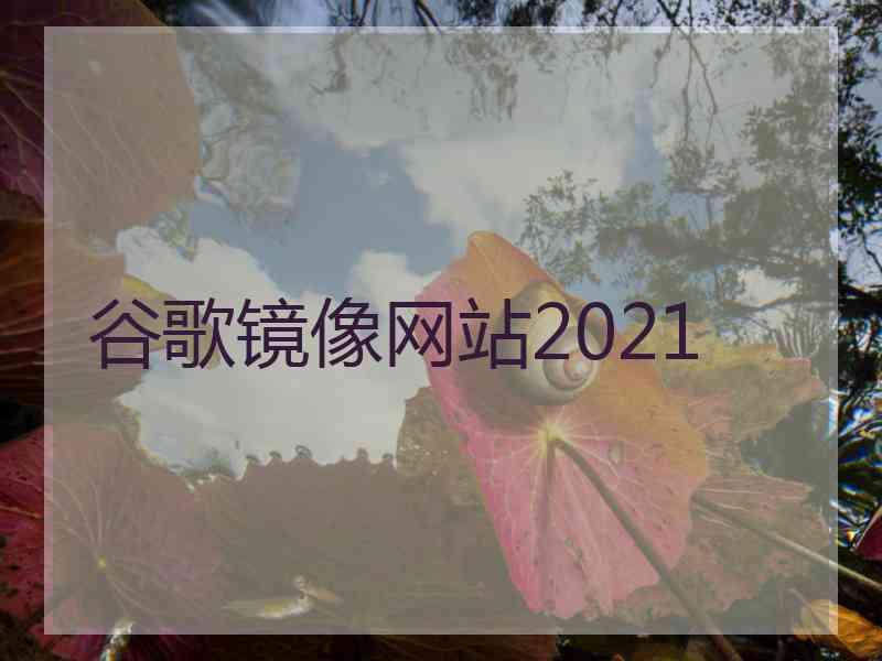 谷歌镜像网站2021