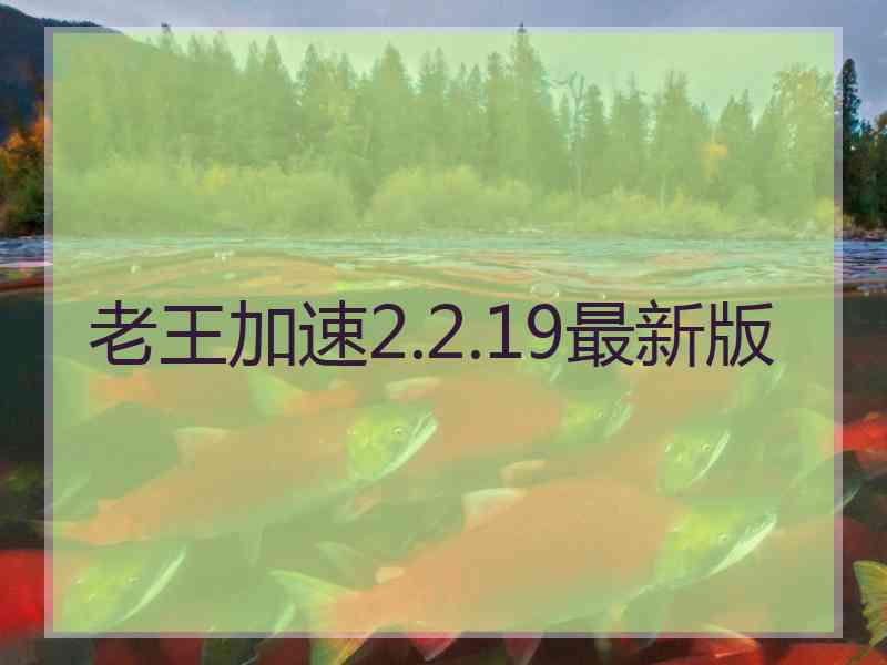 老王加速2.2.19最新版