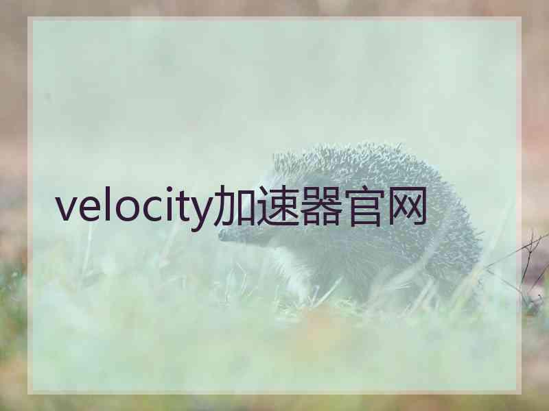 velocity加速器官网