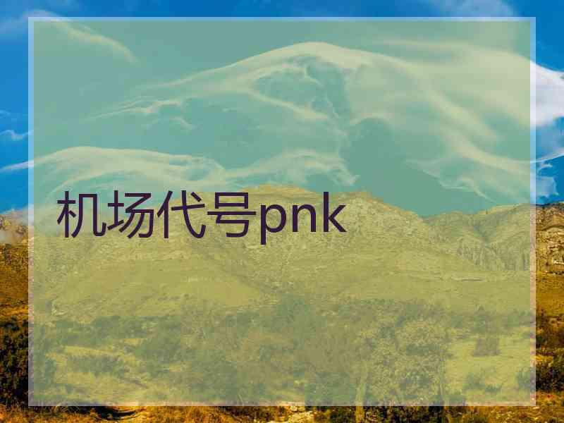 机场代号pnk