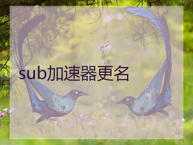 sub加速器更名