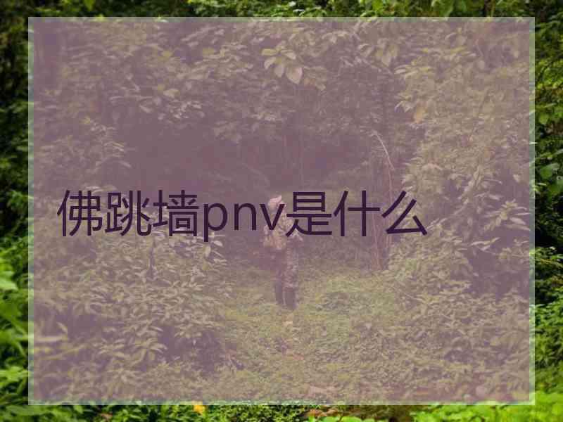 佛跳墙pnv是什么