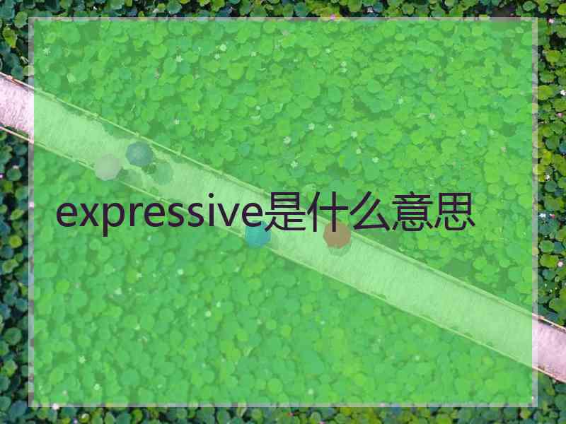 expressive是什么意思