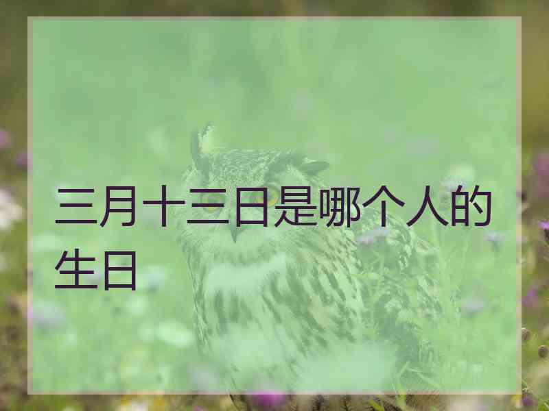 三月十三日是哪个人的生日