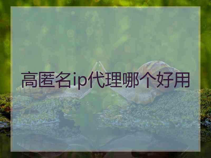 高匿名ip代理哪个好用