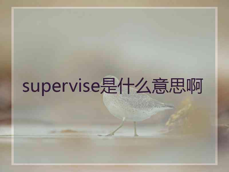 supervise是什么意思啊