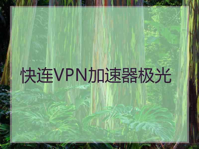 快连VPN加速器极光