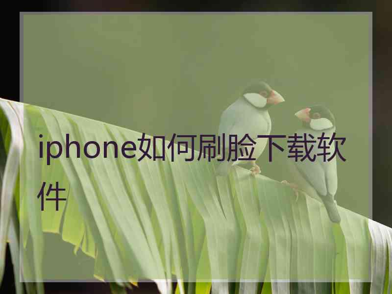 iphone如何刷脸下载软件