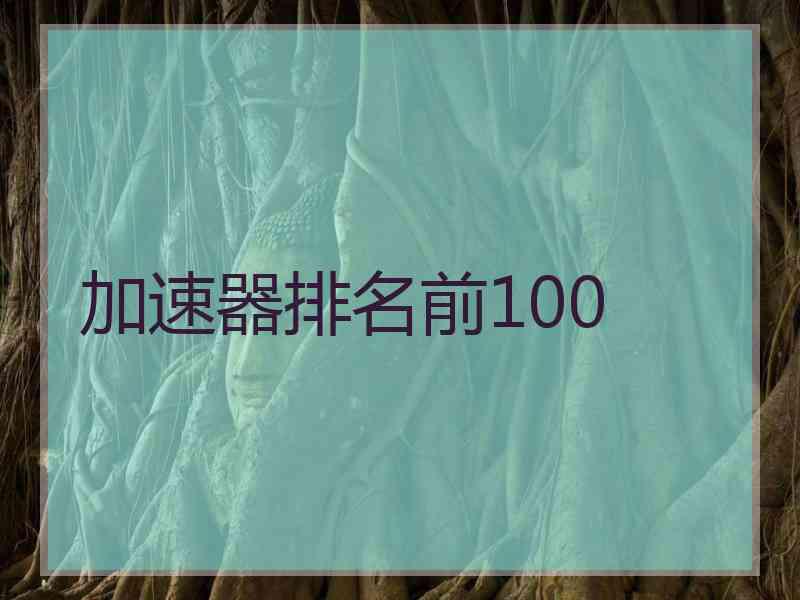 加速器排名前100