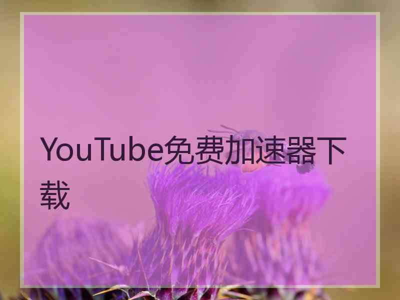 YouTube免费加速器下载