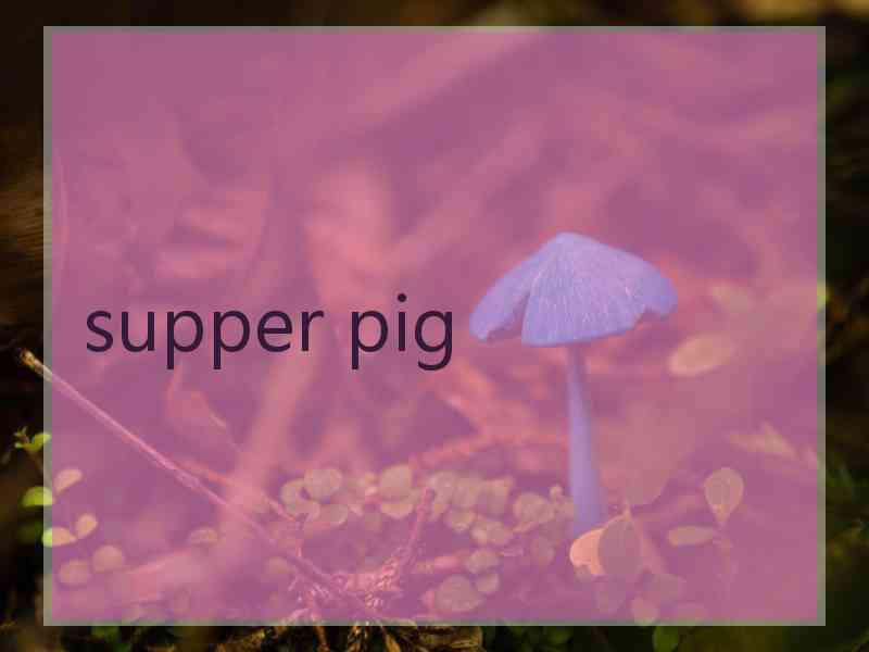 supper pig