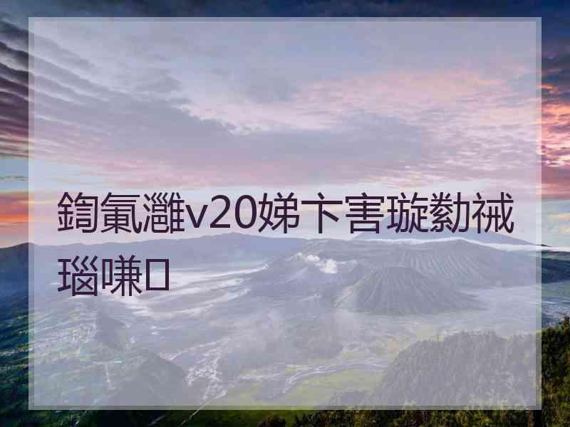 鍧氭灉v20娣卞害璇勬祴瑙嗛