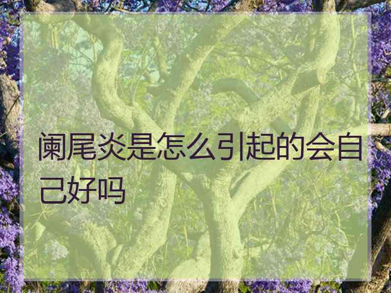 阑尾炎是怎么引起的会自己好吗