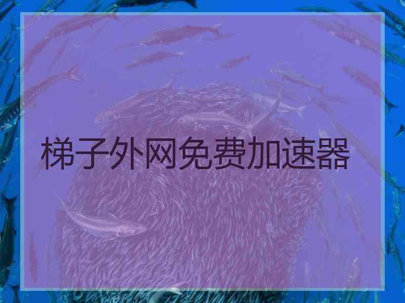 梯子外网免费加速器