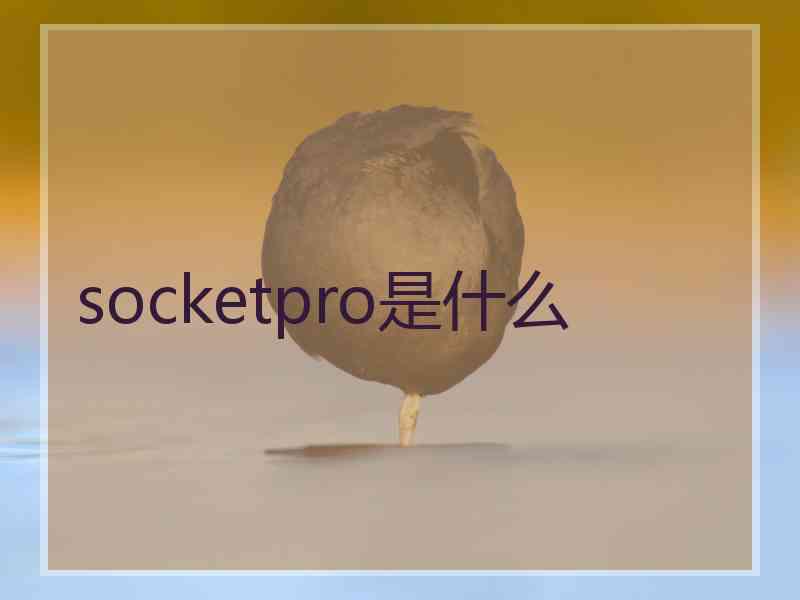 socketpro是什么