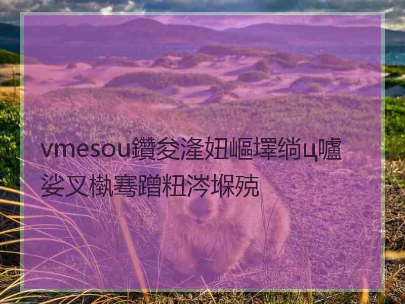 vmesou鑽夋湰妞嶇墿绱ц嚧娑叉槸骞蹭粈涔堢殑