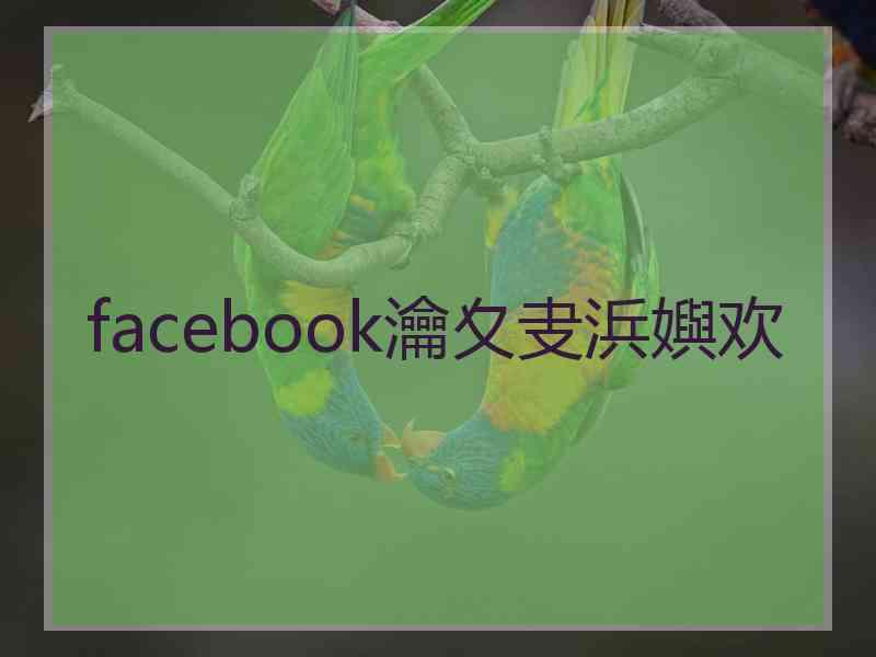 facebook瀹夊叏浜嬩欢