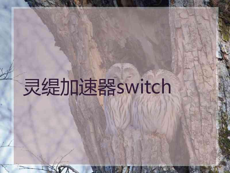 灵缇加速器switch