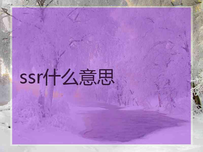 ssr什么意思