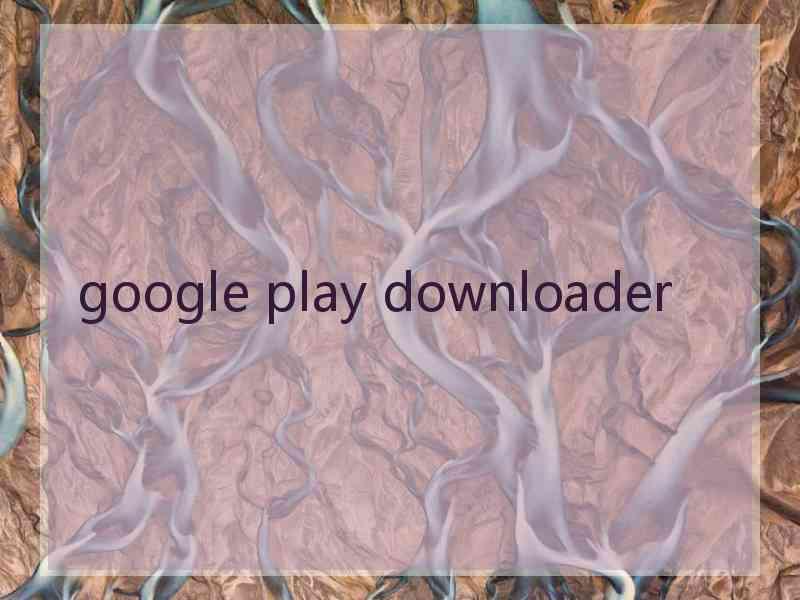 google play downloader