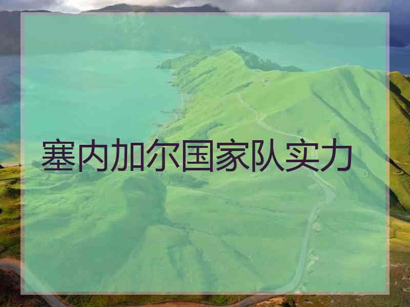 塞内加尔国家队实力