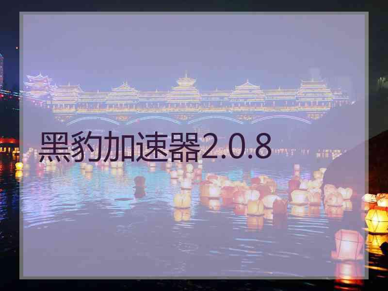 黑豹加速器2.0.8