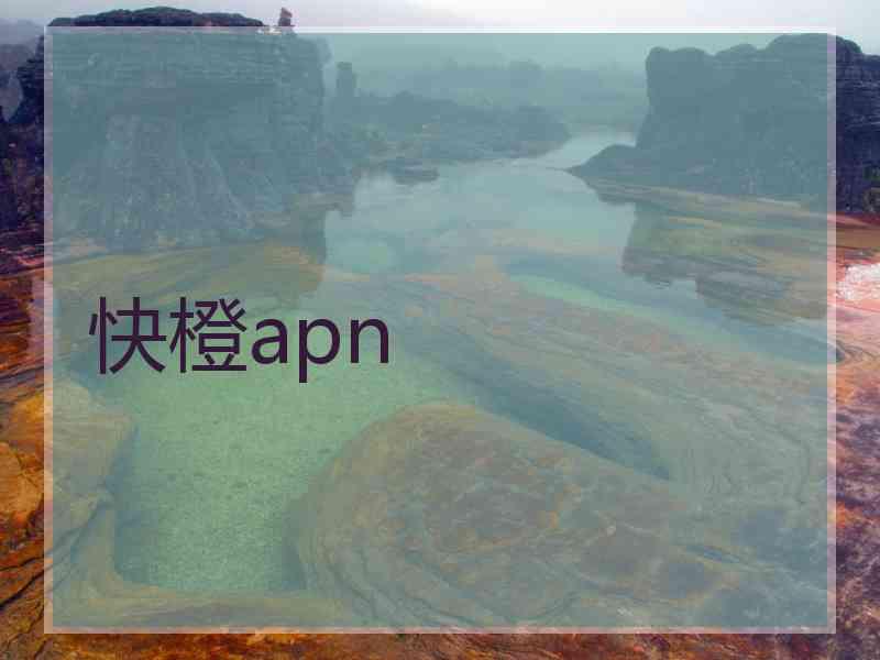 快橙apn