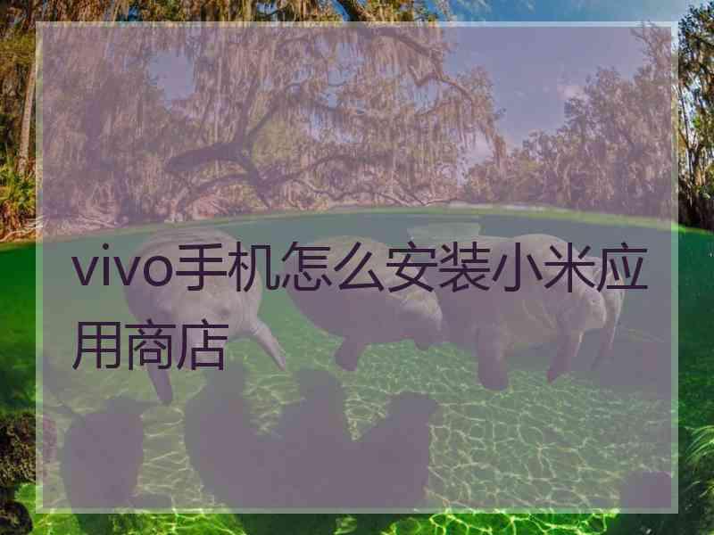 vivo手机怎么安装小米应用商店