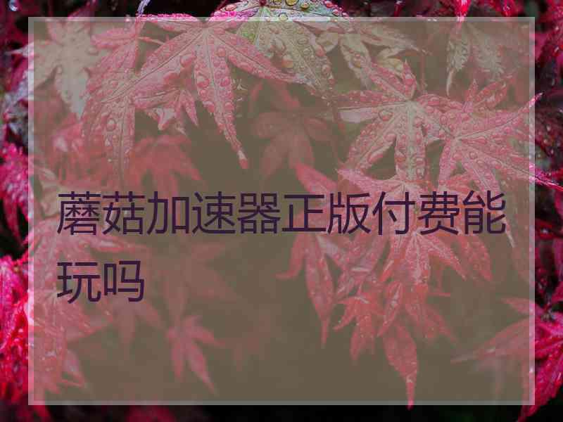 蘑菇加速器正版付费能玩吗