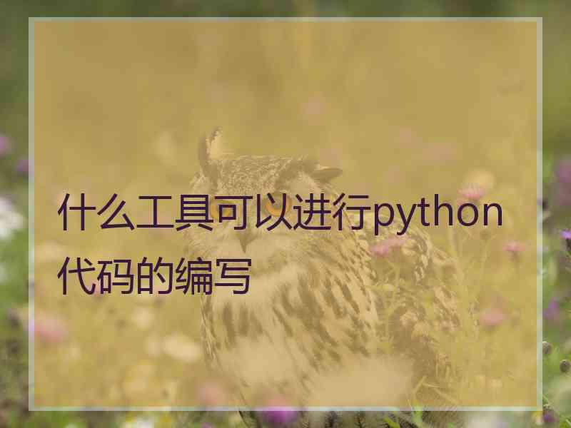 什么工具可以进行python代码的编写