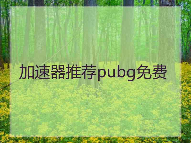 加速器推荐pubg免费