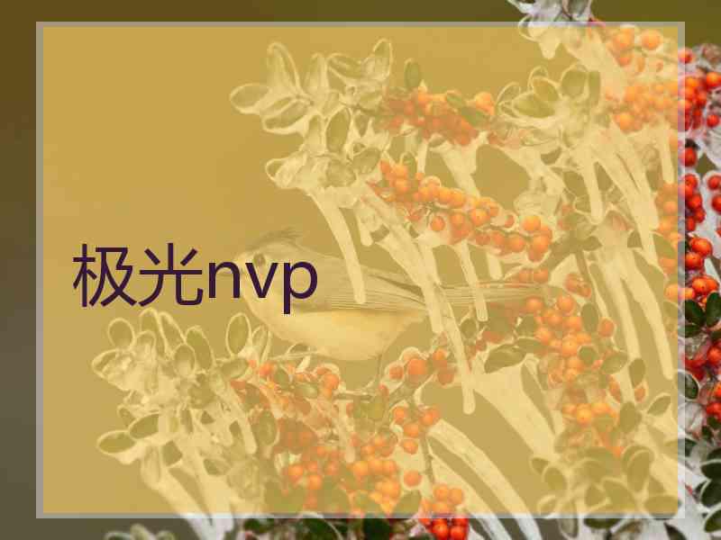 极光nvp