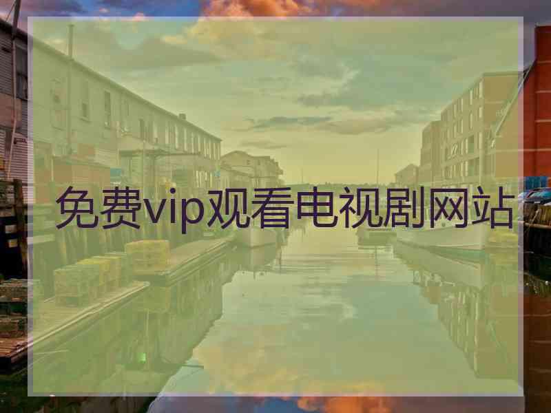 免费vip观看电视剧网站