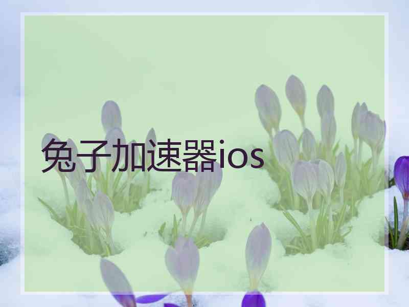 兔子加速器ios