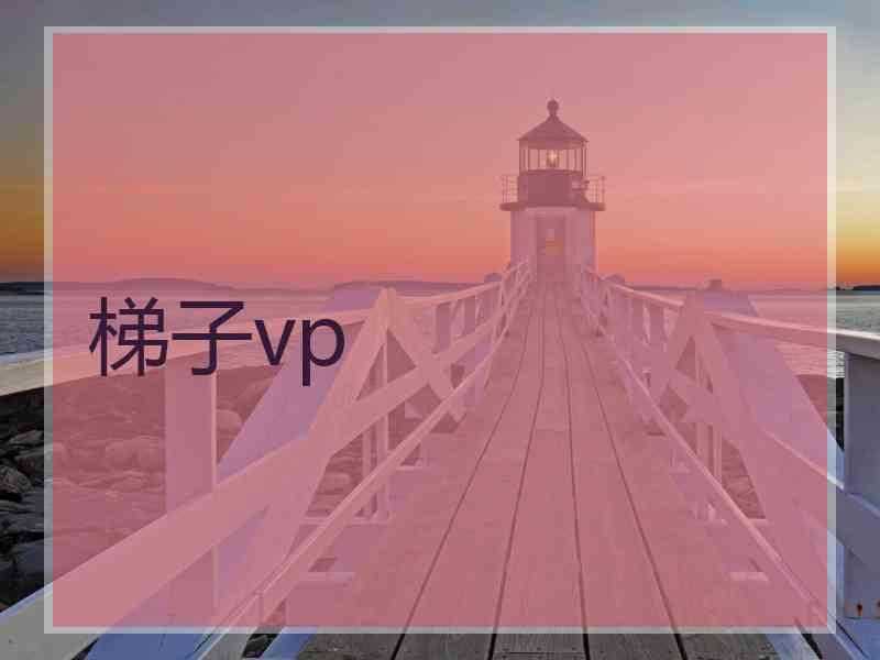 梯子vp