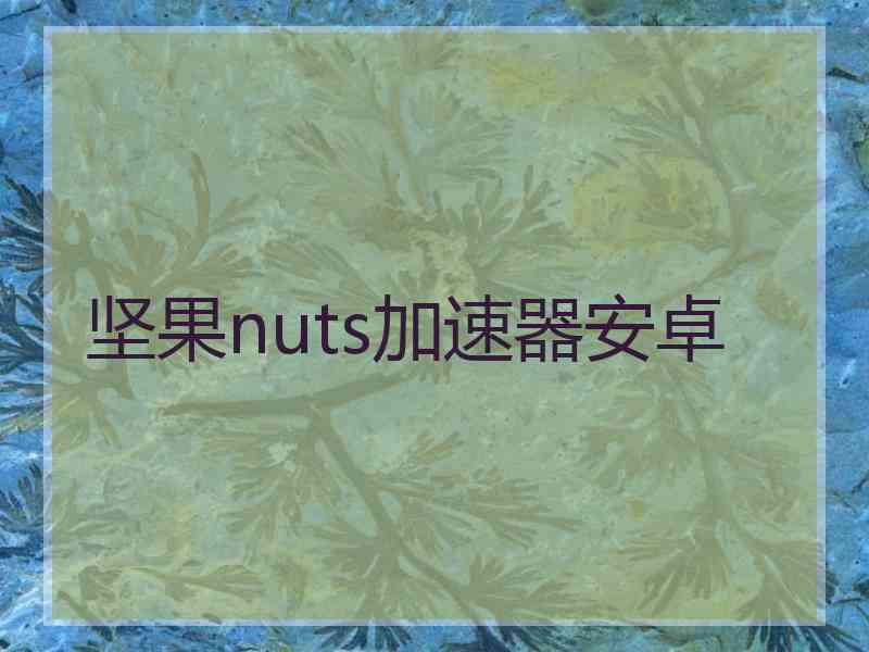 坚果nuts加速器安卓