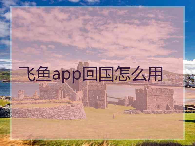 飞鱼app回国怎么用