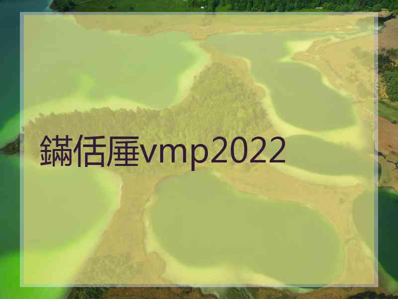 鏋佸厜vmp2022