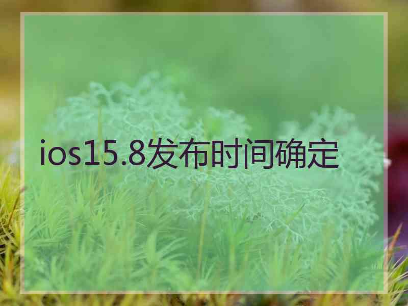 ios15.8发布时间确定