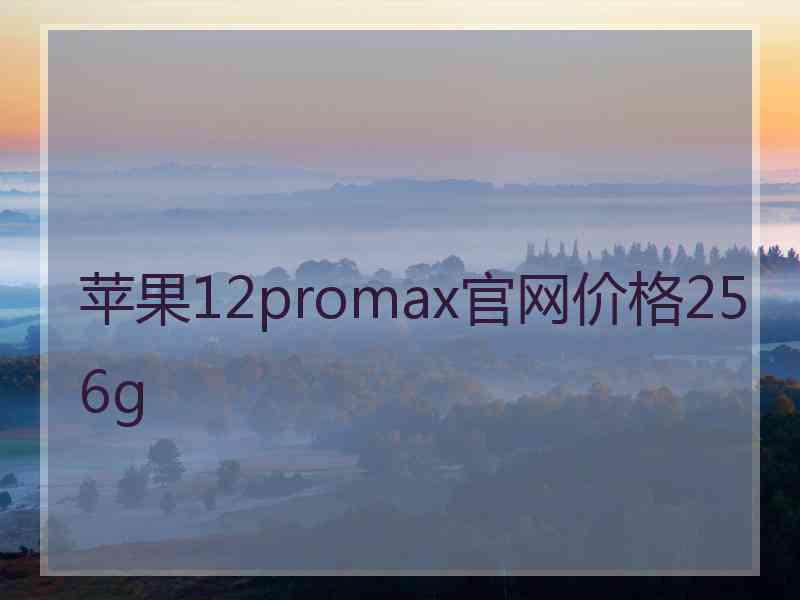 苹果12promax官网价格256g